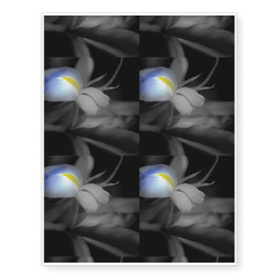 Black and White iris Temporary Tattoos