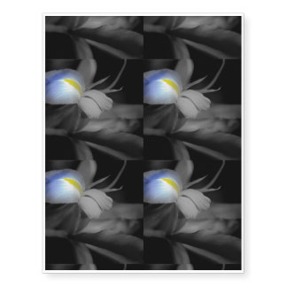 Black and White iris Temporary Tattoos