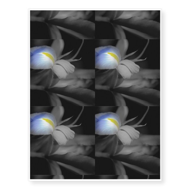 Black and White iris Temporary Tattoos (Front)
