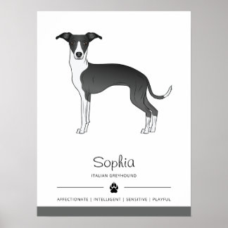 Black And White Italian Greyhound With Custom Text Poster