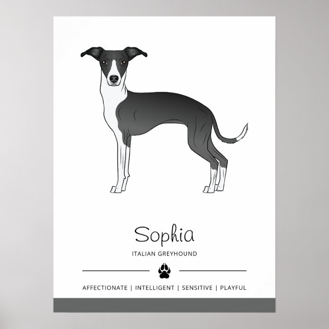 Black And White Italian Greyhound With Custom Text Poster (Front)
