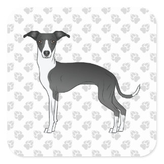Black And White Italian Greyhound With Paws Square Sticker