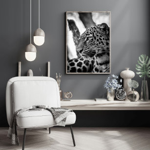 Black and White Jaguar Animal Photo Poster