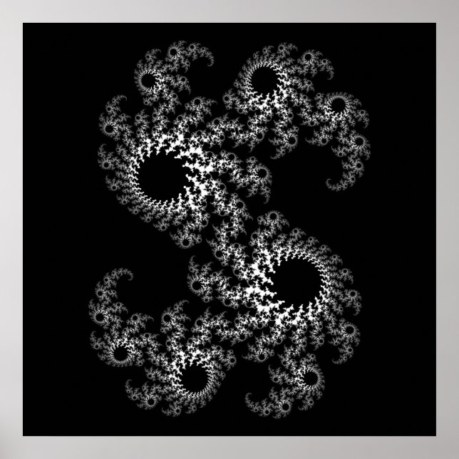 Black and White Julia 324048 Poster (Front)