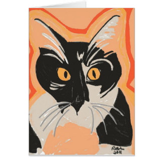 Black and White Kitten