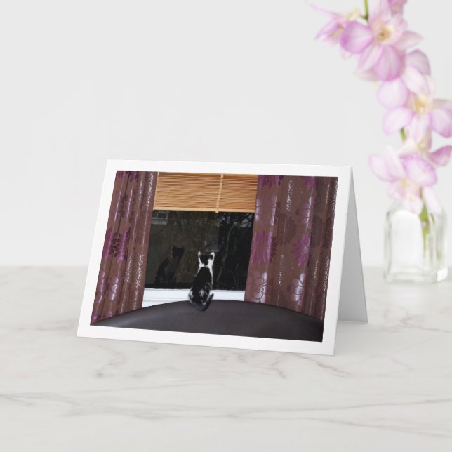 Black and White Kitten At Window Card (Orchid)