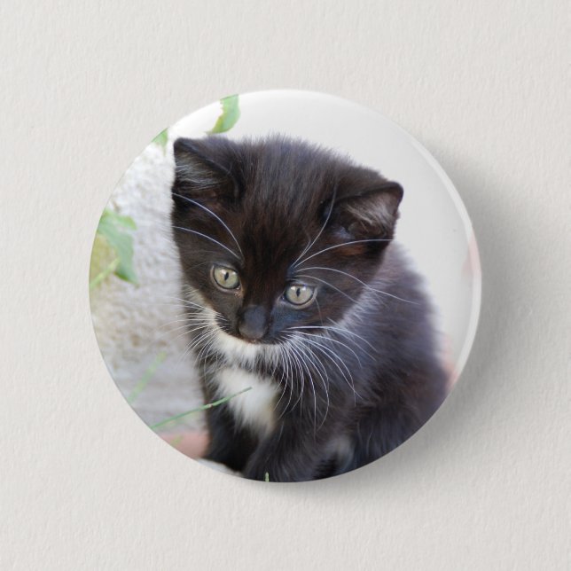 Black and White Kitten Button (Front)
