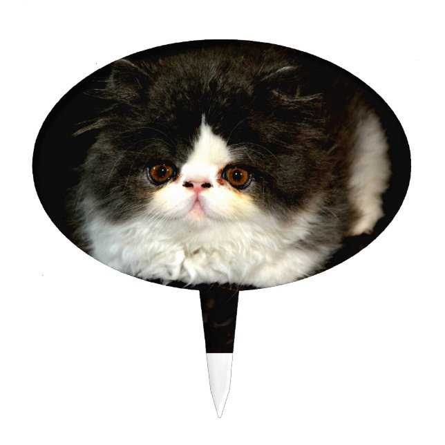 Black and White Kitten Cake Topper (Front)