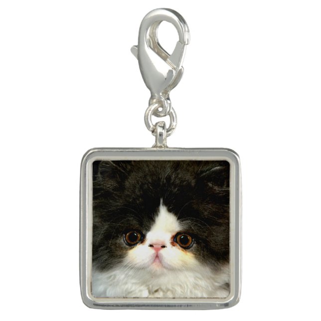 Black and White Kitten Charm (Front)
