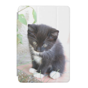 Black and White Kitten Cute Photo iPad Mini Cover