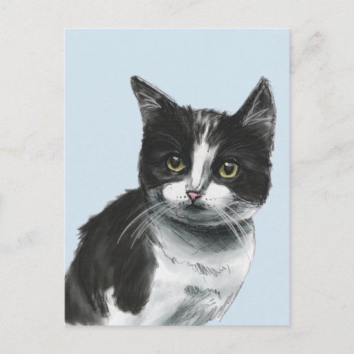 Black and White Kitten Drawing Postcard