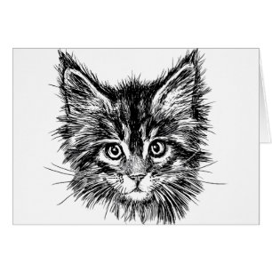 Black and White Kitten Face Blank Inside Cards