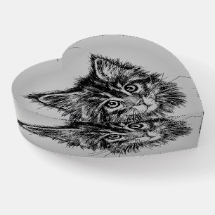 Black and White Kitten Face on Gray Paperweight