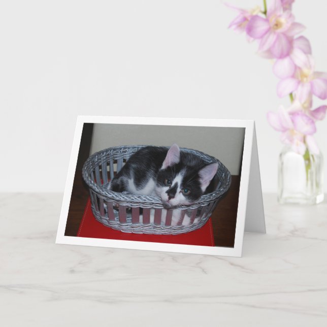 Black and White Kitten In Basket Card (Orchid)
