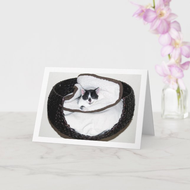 Black and White Kitten in Bed Card (Orchid)