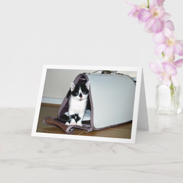 Black and White Kitten in Cat Carrier Card (Orchid)