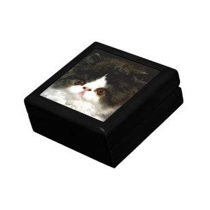 Black and White Kitten Jewelry Box