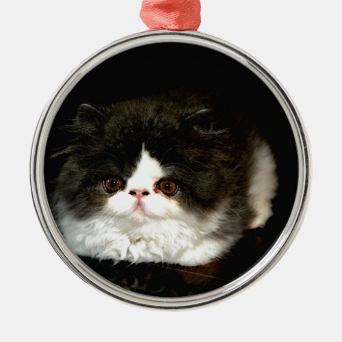 Black and White Kitten Metal Ornament