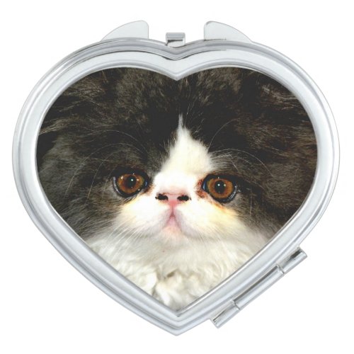 Black and White Kitten Mirror For Makeup