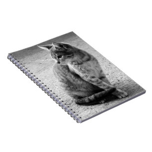 Black and White Kitten Notebook