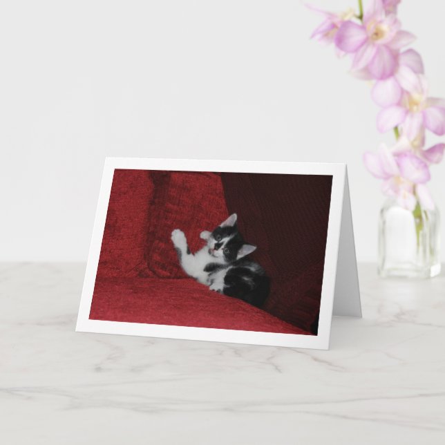 Black and White Kitten on Red Sofa Card (Orchid)