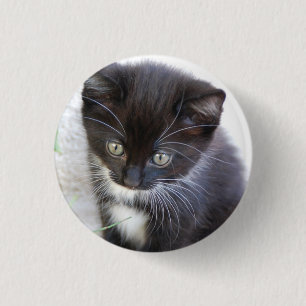 Black and White Kitten Photo Button