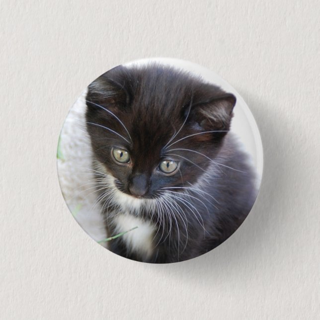 Black and White Kitten Photo Button (Front)