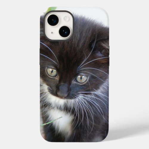 Black and White Kitten Photo Case_Mate iPhone 14 Case