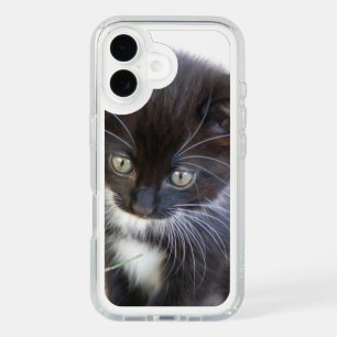 Black and White Kitten Photo iPhone 16 Case