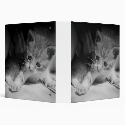 Black and White Kitten Photograph 3 Ring Binder