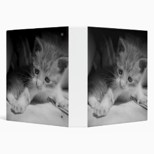 Black and White Kitten Photograph 3 Ring Binder