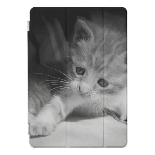 Black and White Kitten Photograph iPad Pro Cover