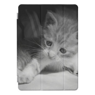 Black and White Kitten Photograph iPad Pro Cover