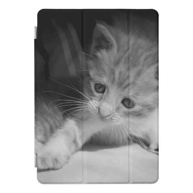 Black and White Kitten Photograph iPad Pro Cover (Front)