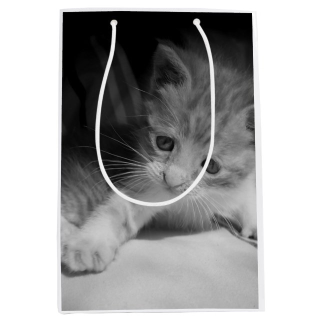 Black and White Kitten Photograph Medium Gift Bag (Front)