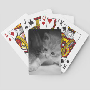Black and White Kitten Photograph Poker Cards