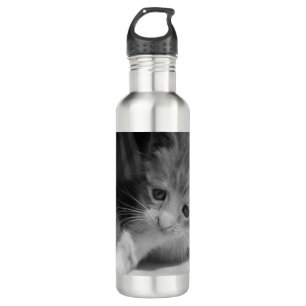Black and White Kitten Photograph Stainless Steel Water Bottle