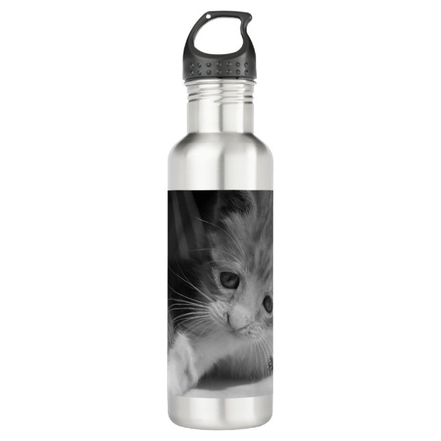 Black and White Kitten Photograph Stainless Steel Water Bottle (Front)