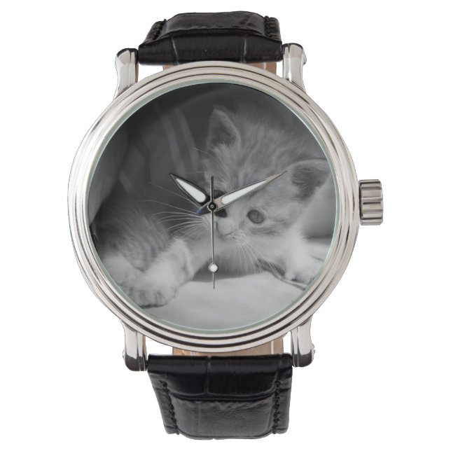 Black and White Kitten Photograph Watch (Front)