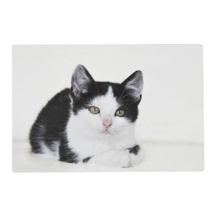 Black and White Kitten Placemat