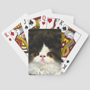 Black and White Kitten Poker Cards