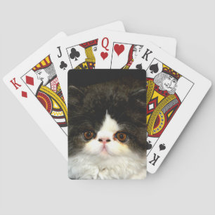 Black and White Kitten Poker Cards