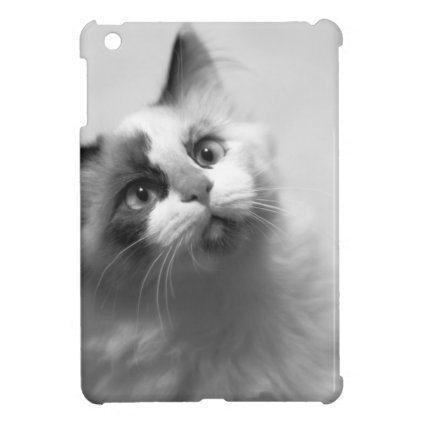 Black And White Kitten Portrait Cover For The iPad Mini