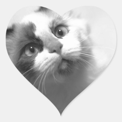 Black And White Kitten Portrait Heart Sticker