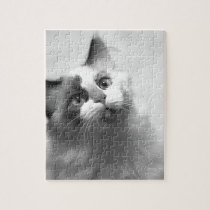 Black And White Kitten Portrait Jigsaw Puzzle