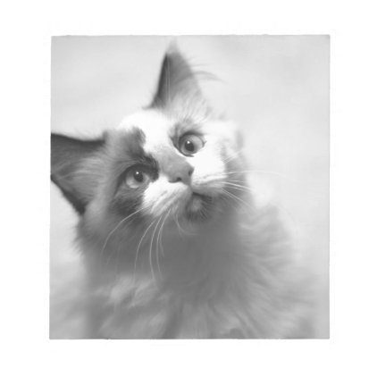 Black And White Kitten Portrait Notepad