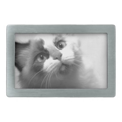 Black And White Kitten Portrait Rectangular Belt Buckle