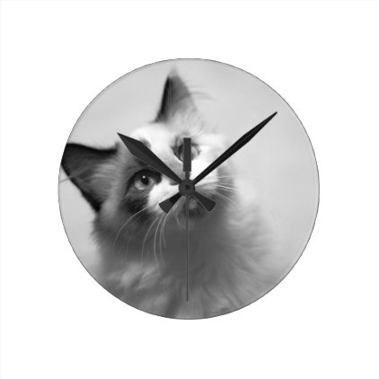 Black And White Kitten Portrait Round Clock