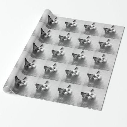 Black And White Kitten Portrait Wrapping Paper