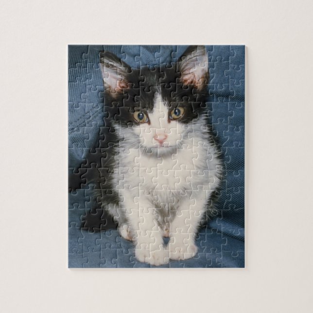 black and white kitten puzzle (Vertical)